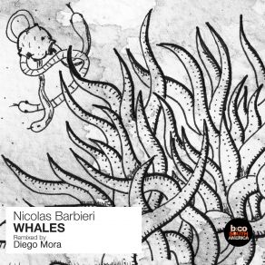 Download track Whales Original Mix Nicolas Barbieri