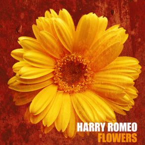 Download track Waves Harry Romeo