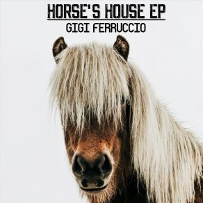 Download track Shetland Gigi Ferruccio