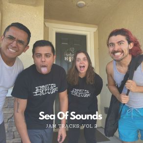 Download track Jam Amnesia Sea Of Sounds