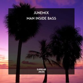 Download track Man Inside Bass Junemix