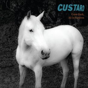 Download track Record Machine CUSTARD