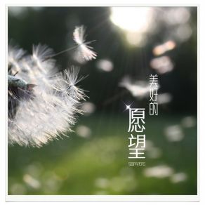 Download track 美好的愿望 (伴奏) 500PAPERS