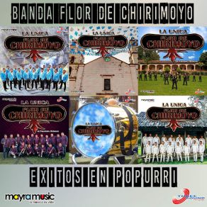 Download track Popurri Chalino Sanchez Banda Flor De Chirimoyo