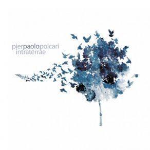 Download track Cydonia Pier Paolo Polcari