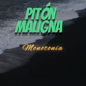 Download track Lealtad Completa PITON MALLIGNA