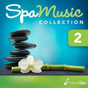 Download track Zen Meditation Musical Spa