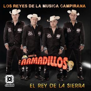 Download track Eres Única Y Hermosa Dueto Los Armadillos