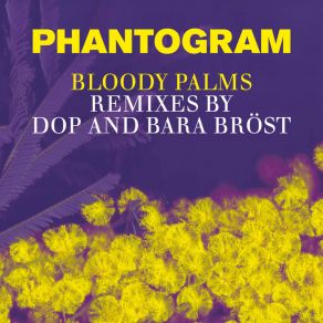 Download track Bloody Palms (Bara Brost Dub Remix) Phantogram