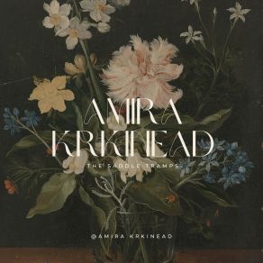 Download track The Saddle Tramps Amira Krkinead