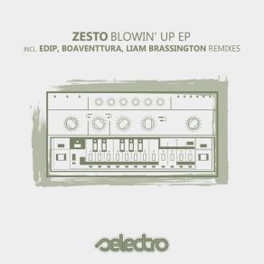 Download track Flip Flop (Original Mix) Zesto