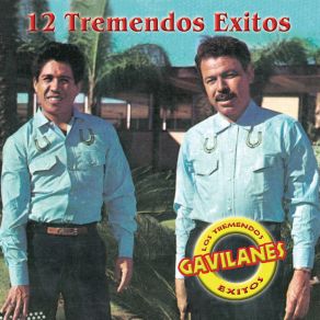 Download track Prisonero De Amor Los Tremendos Gavilanes