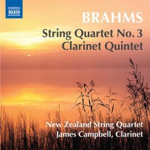 Download track Clarinet Quintet In B Minor, Op. 115: II. Adagio - Più Lento James Campbell, New Zealand String Quartet