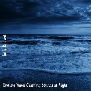 Download track Endless Waves Crashing Sounds At Night, Pt. 20 Steve Brassel