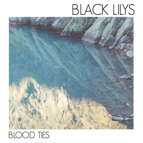 Download track Color My Soul Black Lilys