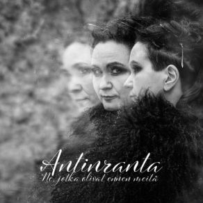 Download track Toorit Antinranta