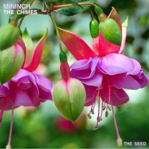 Download track Dense (Original Mix) Mininch