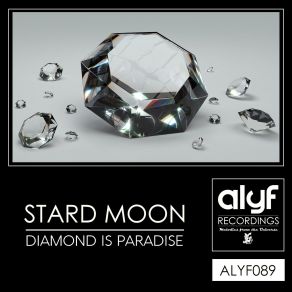 Download track Diamond Is Paradise (Original Mix) Stard Moon