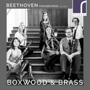 Download track Sextet In E-Flat Major, Op. 71- I. Adagio - Allegro Brass, Boxwood