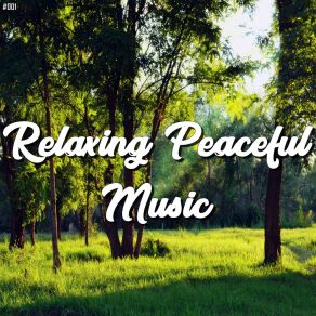 Download track Meditation Entspannende Schwingungen Medicina Relaxante