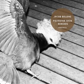 Download track Polyester Skin (Man Power Dub) Jacob Bellens