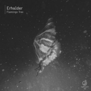 Download track Hard Workin Flamingos (Original Mix) Erhalder