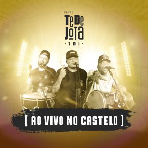 Download track Você Vai Ver / Cheiro De Shampoo (Ao Vivo) Grupo TeDeJota