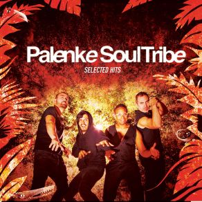 Download track The Color Of Your Dreams (Radio Edit) Palenke Soultribe