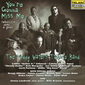 Download track Messin' With The Man Muddy Waters Tribute Band