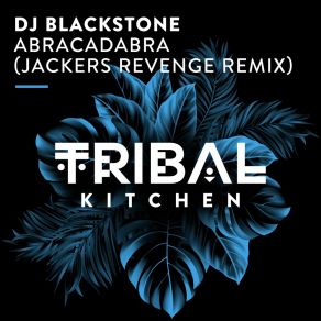 Download track Abracadabra (Jackers Revenge Extended Remix) DJ BlackstoneJackers Revenge