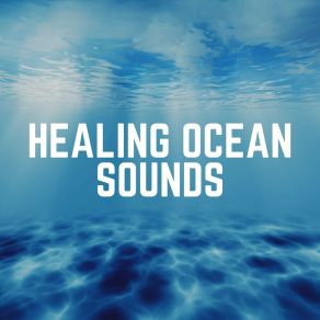 Download track Calming Ocean Sounds, Pt. 16 Relaxing Ocean Sounds