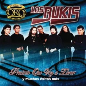 Download track El Regreso Del Alambrado Los Bukis