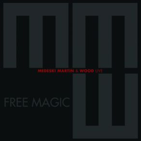 Download track Free Magic - Ballade In C Minor, 'Vergessene Seelen' Medeski Martin & Wood