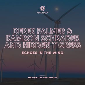 Download track Echoes In The Wind Derek Palmer, Kamron Schrader, Hidden Tigress