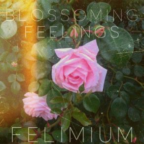 Download track What Do You Feel? Felimium