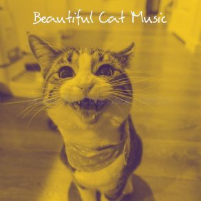 Download track Extraordinary Backdrops For Cats Beautiful Cat Music