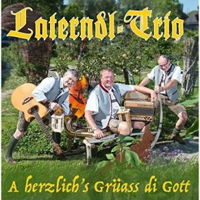 Download track Vergiss Net Wo Du Herkimmst Laterndl Trio