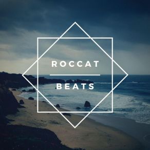 Download track Box Logo Roccat Beats