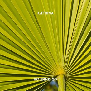 Download track Holding On (Radio Edit) Kætrina