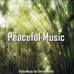 Download track Sweet Dreams Mantra Para Meditar