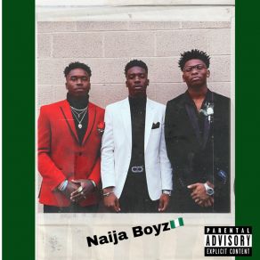 Download track Intro Naija Boyz