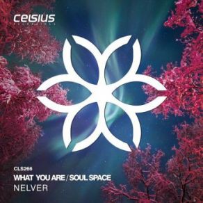 Download track Soul Space Nelver