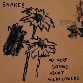 Download track The Banjo Song Snakes