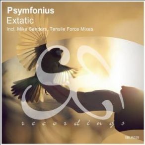 Download track Extatic (Original Mix) Psymfonius