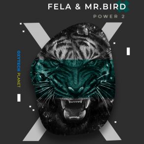 Download track TeVnol Mr Bird