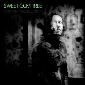 Download track Rollercoaster Sweet Gum Tree