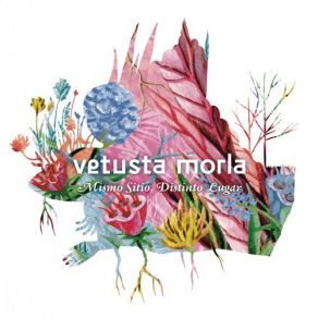 Download track El Discurso Del Rey Vetusta Morla