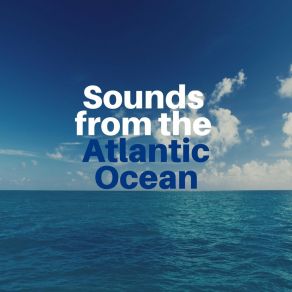 Download track Relaxing Ocean Sounds, Pt. 4 Ocean Therapy