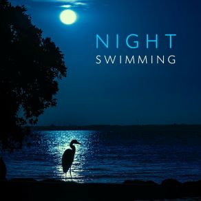 Download track Night Swimming Mila