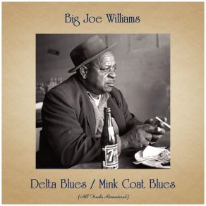 Download track Mink Coat Blues (Remastered 2017) Big Joe Williams